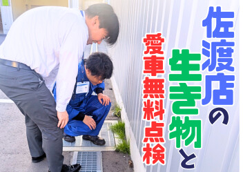 【歓迎】佐渡店へようこそ【愛車無料点検】